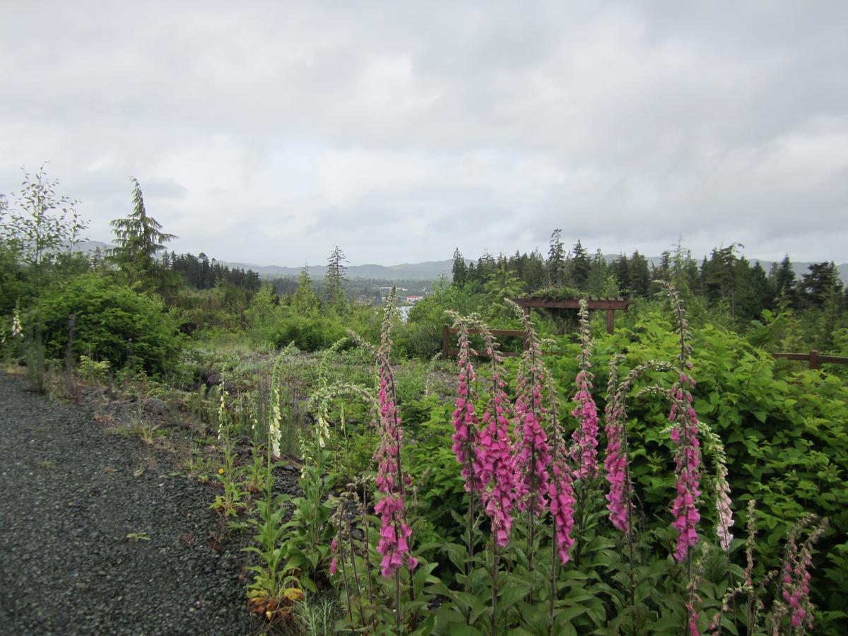 Hôtel Ecoscape Cabins à Port Hardy Extérieur photo