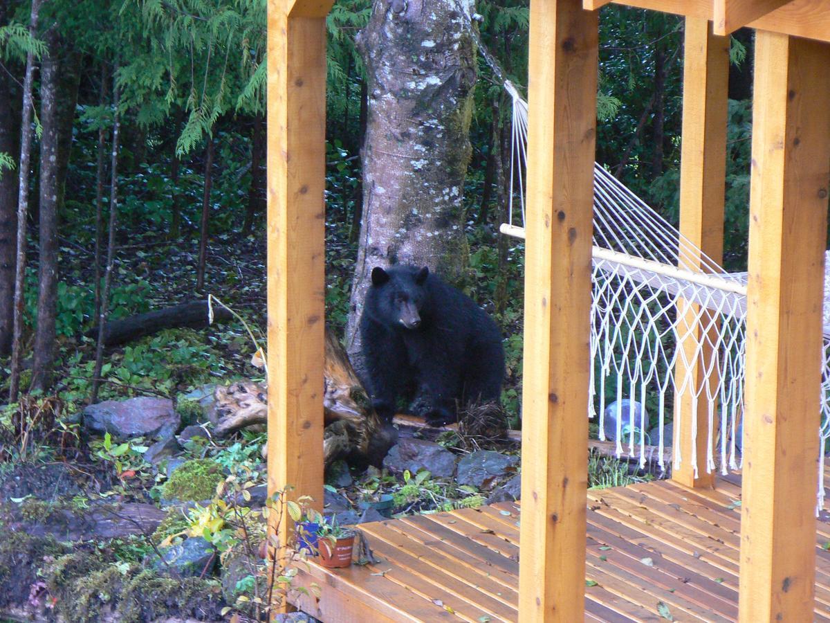 Hôtel Ecoscape Cabins à Port Hardy Extérieur photo